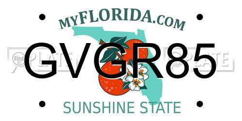 GVGR85 Florida License Plate