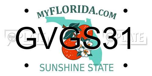 GVGS31 Florida License Plate