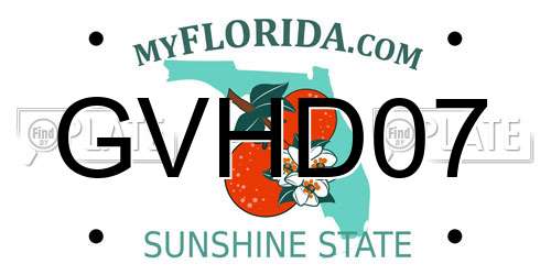 GVHD07 Florida License Plate