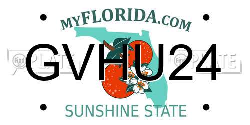 GVHU24 Florida License Plate