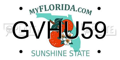 GVHU59 Florida License Plate