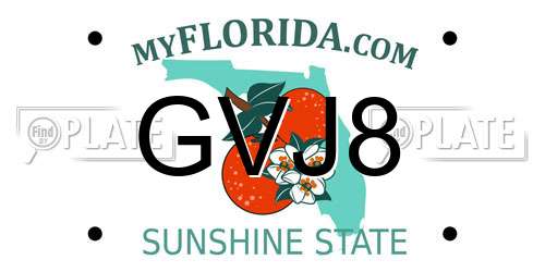 GVJ8 Florida License Plate