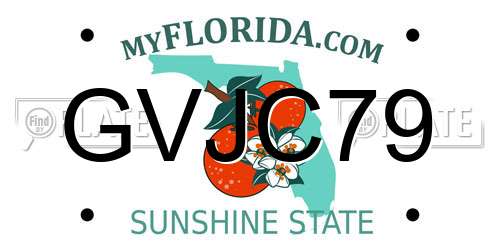 GVJC79 Florida License Plate