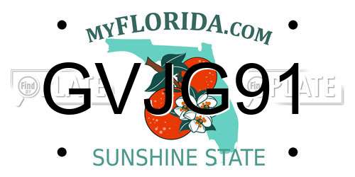 GVJG91 Florida License Plate