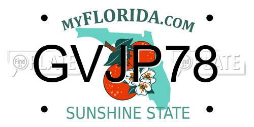 GVJP78 Florida License Plate