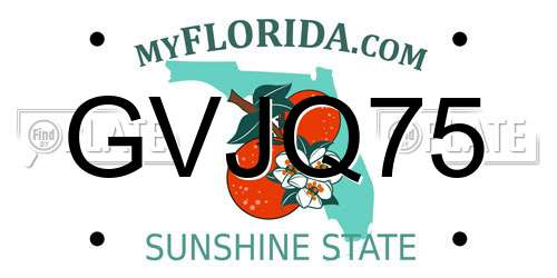 GVJQ75 Florida License Plate