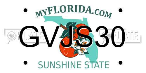 GVJS30 Florida License Plate