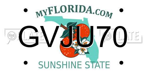 GVJU70 Florida License Plate