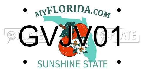 GVJV01 Florida License Plate