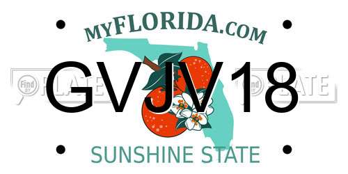 GVJV18 Florida License Plate
