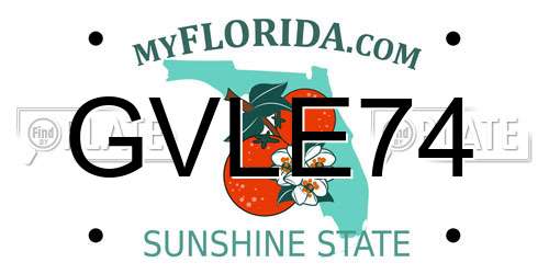 GVLE74 Florida License Plate
