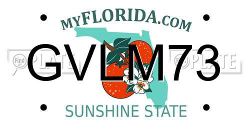 GVLM73 Florida License Plate