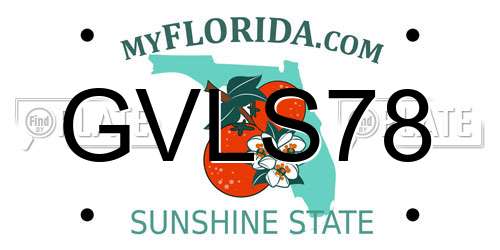 GVLS78 Florida License Plate