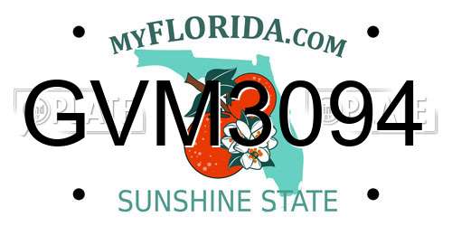 GVM3094 Florida License Plate