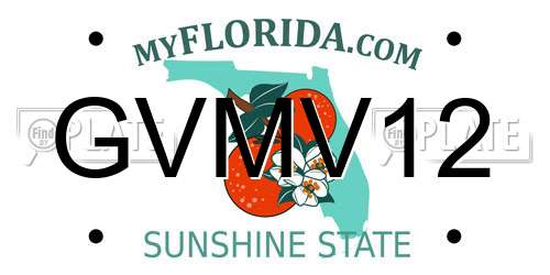 GVMV12 Florida License Plate