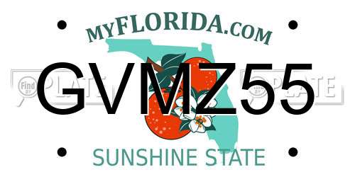 GVMZ55 Florida License Plate