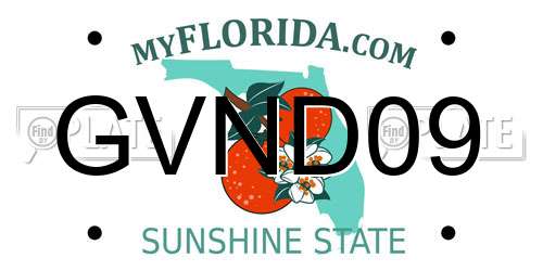 GVND09 Florida License Plate