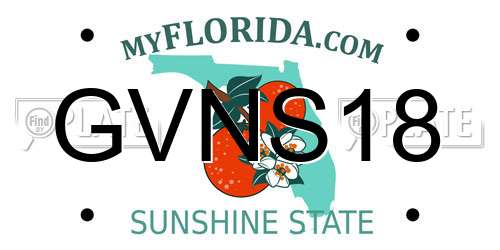 GVNS18 Florida License Plate