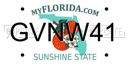 GVNW41 Florida License Plate