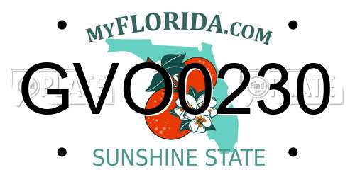 GVO0230 Florida License Plate