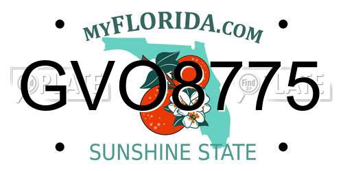 GVO8775 Florida License Plate