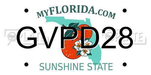 GVPD28 Florida License Plate