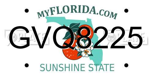GVQ8225 Florida License Plate