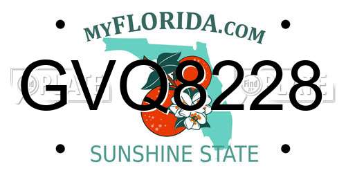 GVQ8228 Florida License Plate