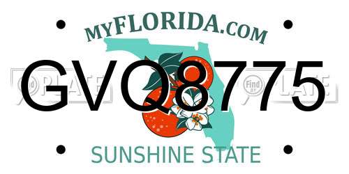GVQ8775 Florida License Plate