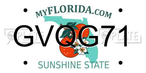 GVQG71 Florida License Plate