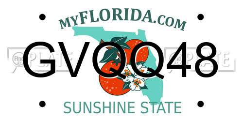 GVQQ48 Florida License Plate