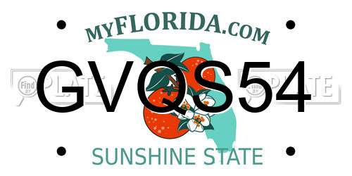 GVQS54 Florida License Plate