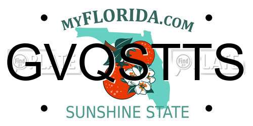 GVQSTTS Florida License Plate