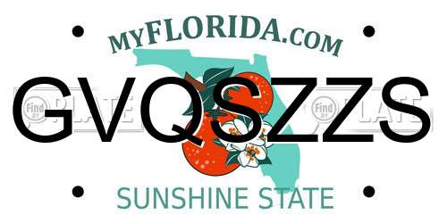 GVQSZZS Florida License Plate