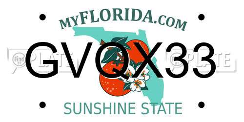 GVQX33 Florida License Plate