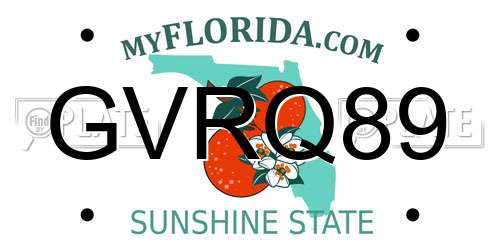 GVRQ89 Florida License Plate