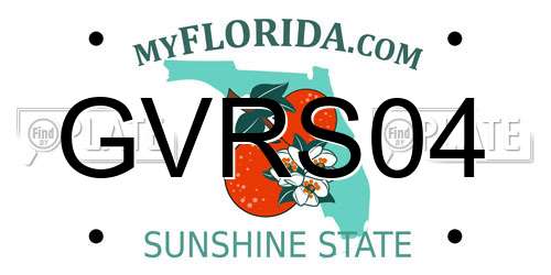 GVRS04 Florida License Plate