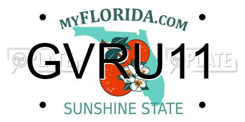 GVRU11 Florida License Plate