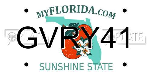 GVRY41 Florida License Plate