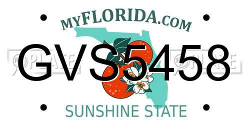 GVS5458 Florida License Plate
