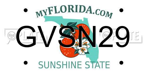 GVSN29 Florida License Plate