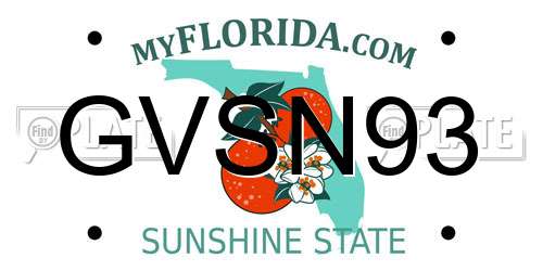 GVSN93 Florida License Plate