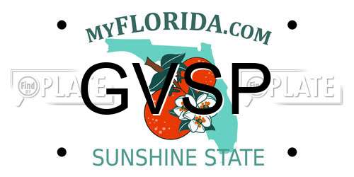 GVSP Florida License Plate
