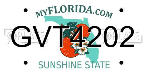 GVT4202 Florida License Plate