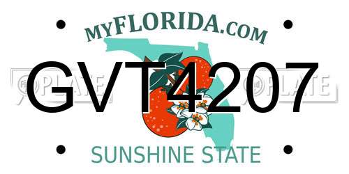 GVT4207 Florida License Plate