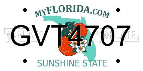GVT4707 Florida License Plate