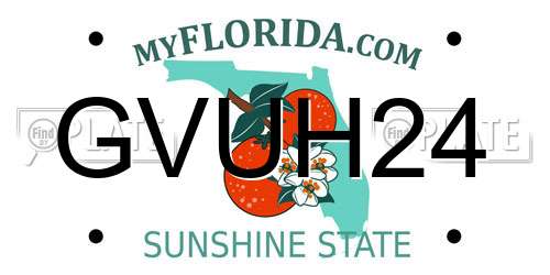 GVUH24 Florida License Plate