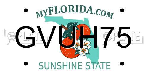 GVUH75 Florida License Plate