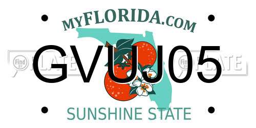 GVUJ05 Florida License Plate