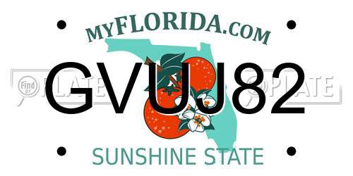 GVUJ82 Florida License Plate